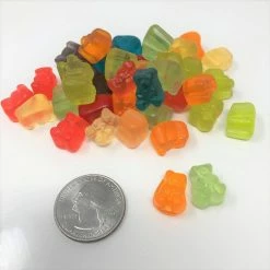 Albanese Gummi Candy Gummi Bear Cubs Baby Gummi Bears Mini Gummy Bears 2 Pounds